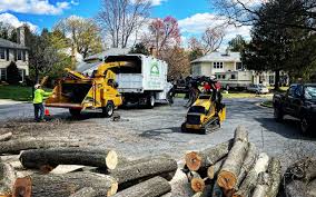  , KS Tree Care Pros